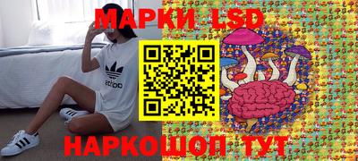 мдпв Донской