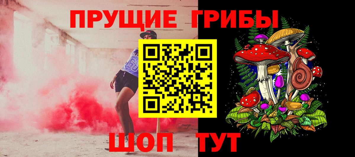 Ливны  Псилоцибиновые грибы Cubensis  Вход с VPN 